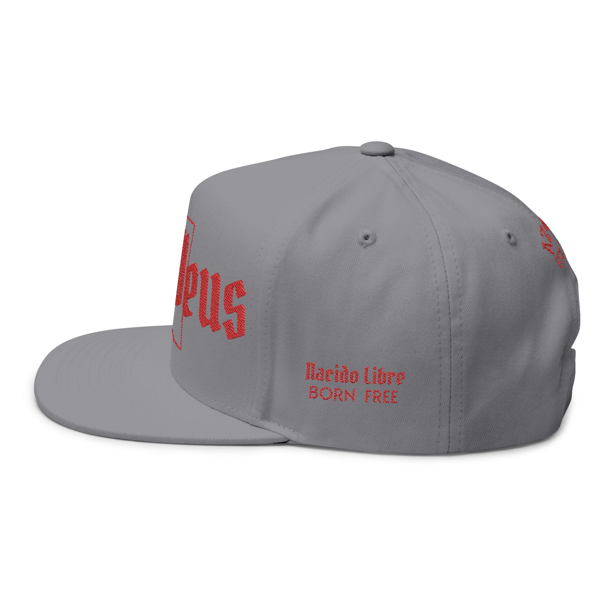 Ditat Deus Arizona Live Mas Flat Bill Cap- AZ4USA line