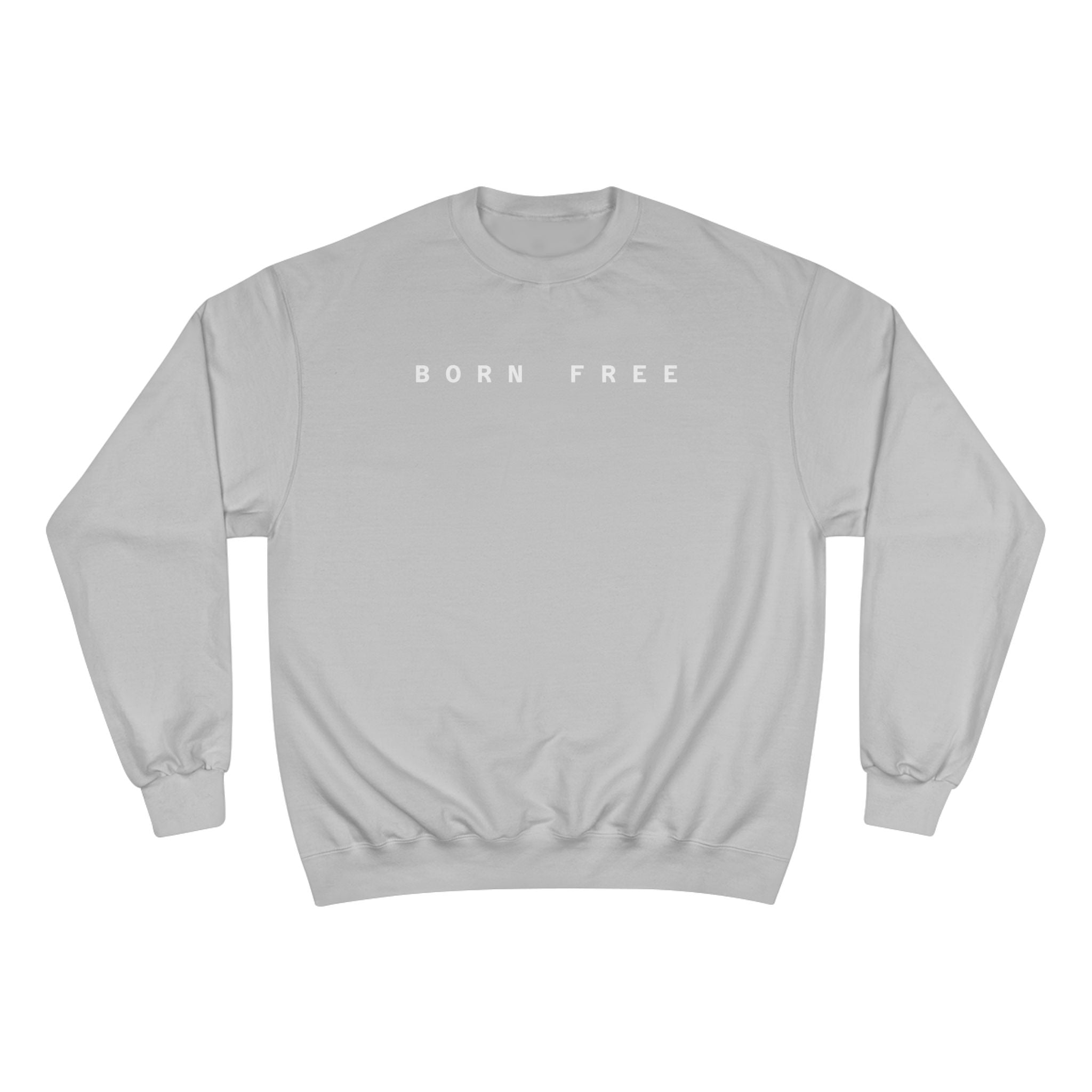 Comfortable Champion Sweatshirt, Perfect Gift for Arizona Lovers, Trendy Casualwear, Unisex Sweatshirt for Every Occasion, Holiday Apparel