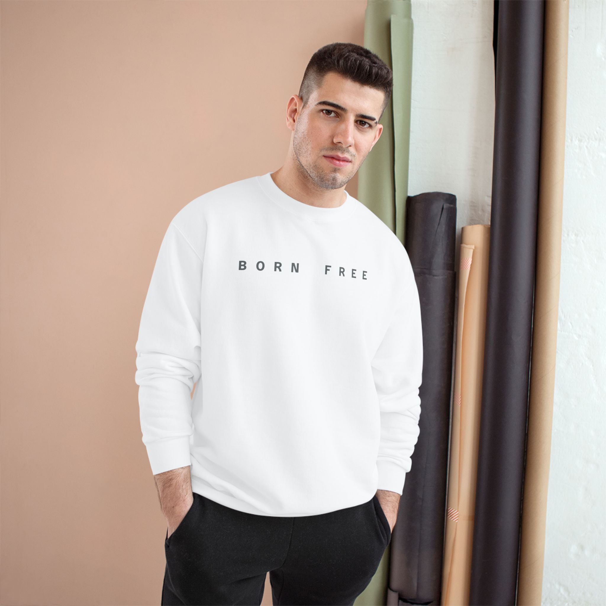 Comfortable Champion Sweatshirt, Perfect Gift for Arizona Lovers, Trendy Casualwear, Unisex Sweatshirt for Every Occasion, Holiday Apparel