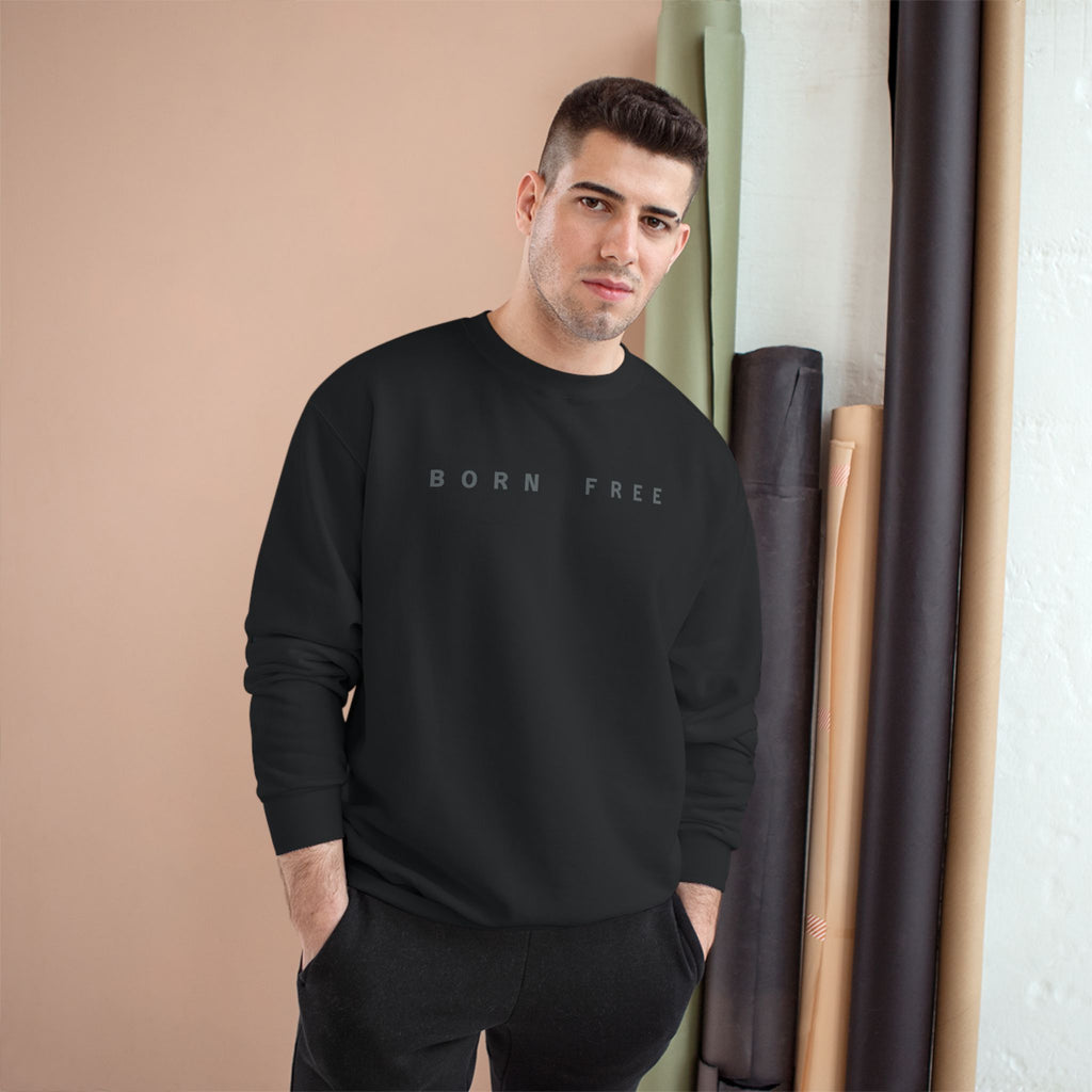 Comfortable Champion Sweatshirt, Perfect Gift for Arizona Lovers, Trendy Casualwear, Unisex Sweatshirt for Every Occasion, Holiday Apparel