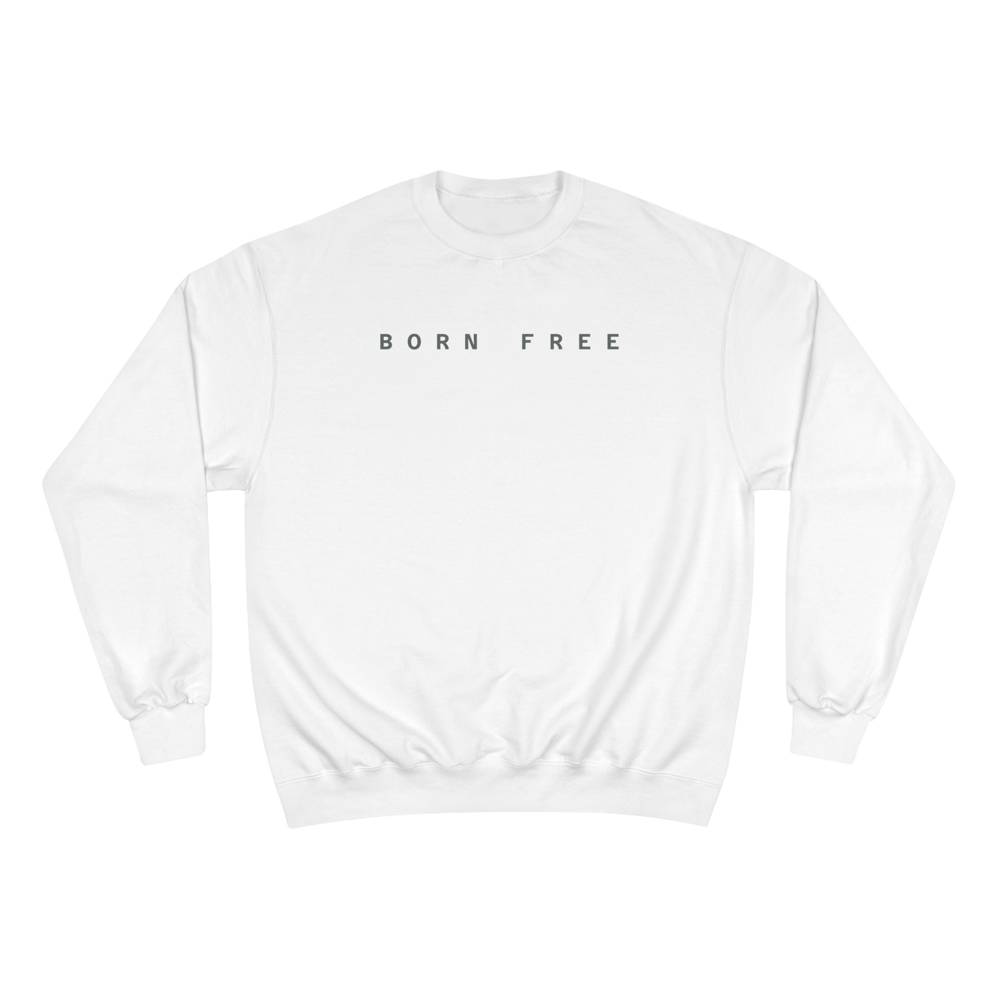 Comfortable Champion Sweatshirt, Perfect Gift for Arizona Lovers, Trendy Casualwear, Unisex Sweatshirt for Every Occasion, Holiday Apparel