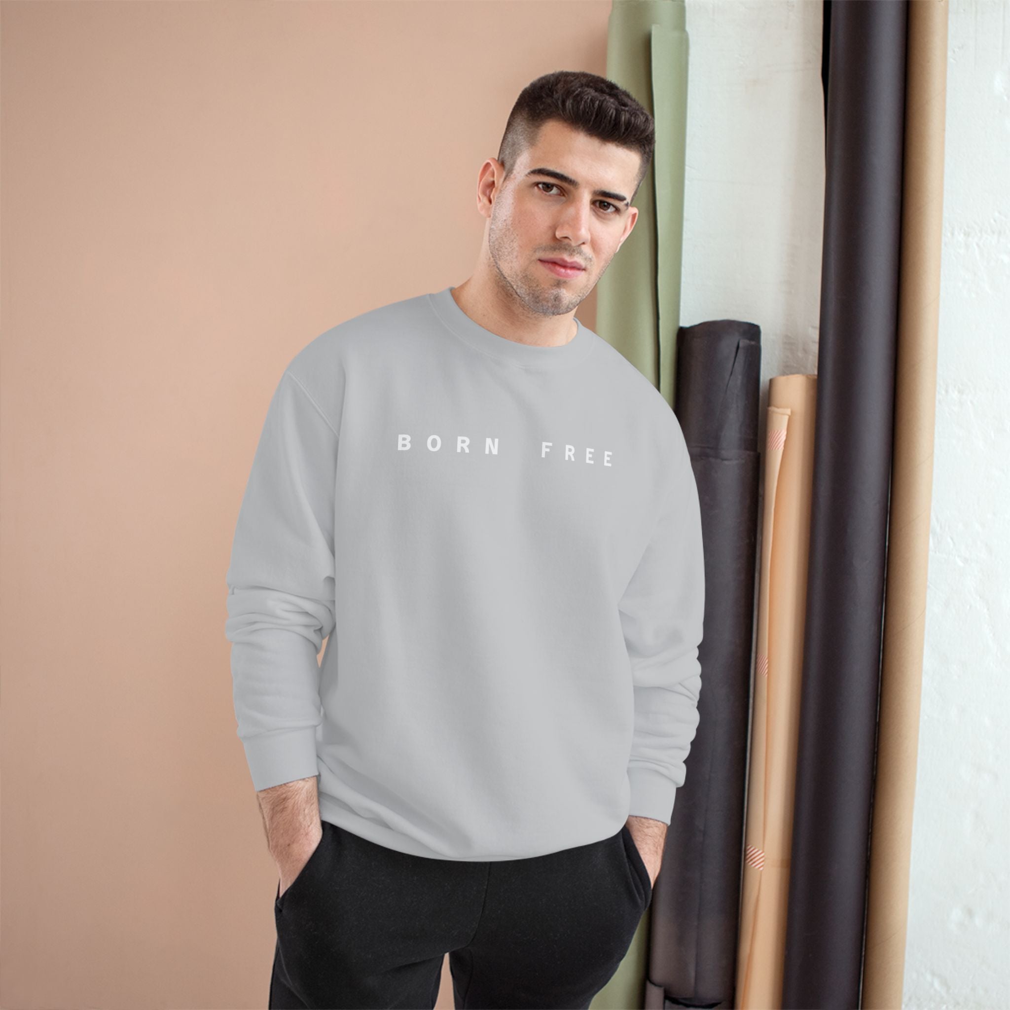 Comfortable Champion Sweatshirt, Perfect Gift for Arizona Lovers, Trendy Casualwear, Unisex Sweatshirt for Every Occasion, Holiday Apparel