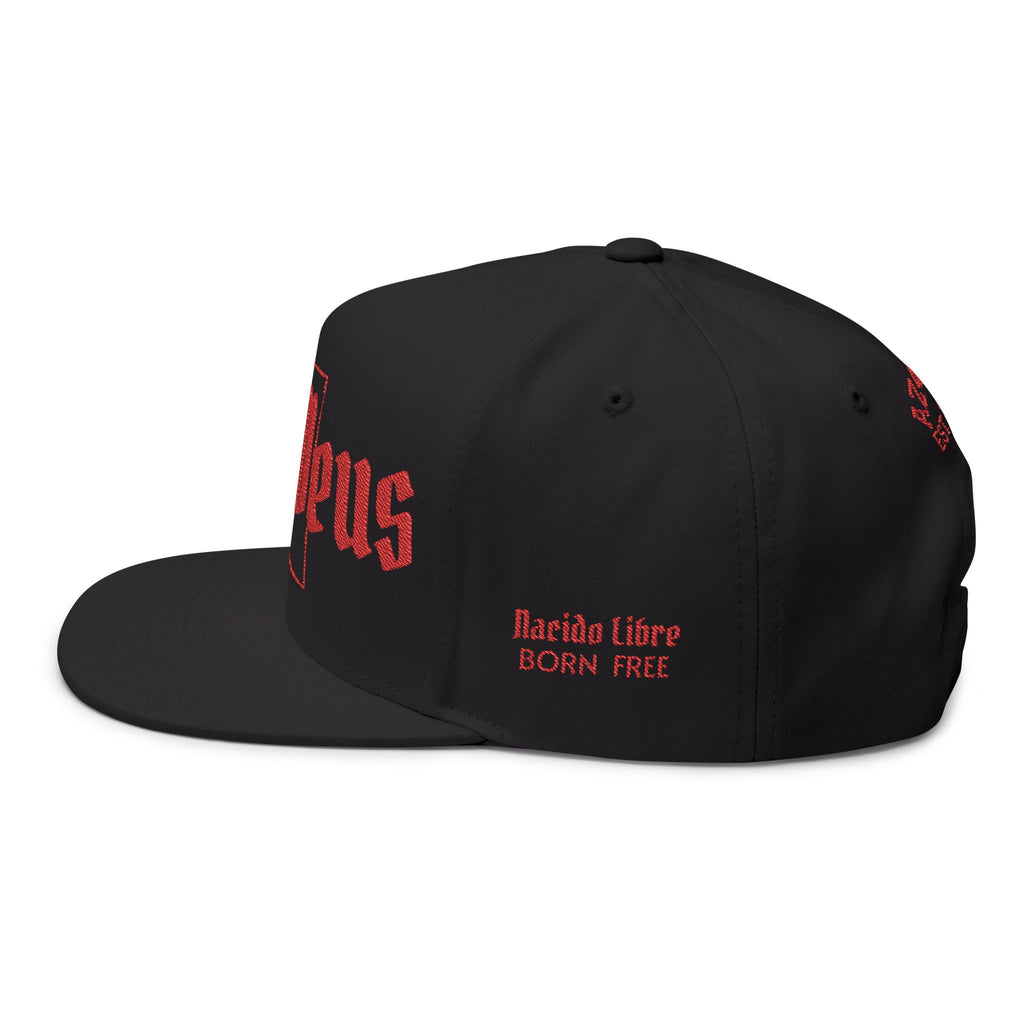 Ditat Deus Arizona Live Mas Flat Bill Cap- AZ4USA line